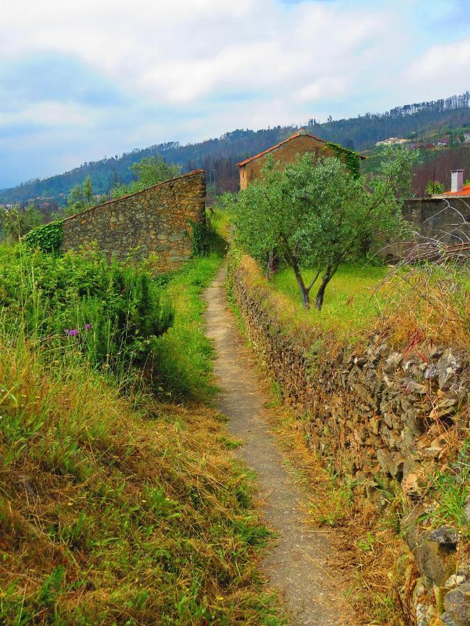 Casa Eira Do Povo 1 Konuk evi Vale de Colmeias Dış mekan fotoğraf
